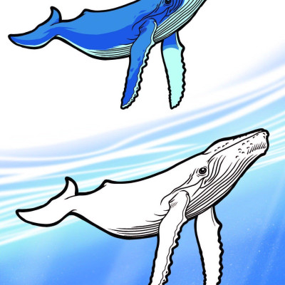 Nào Mình Cùng Tô Màu Nhé! - Đại Dương