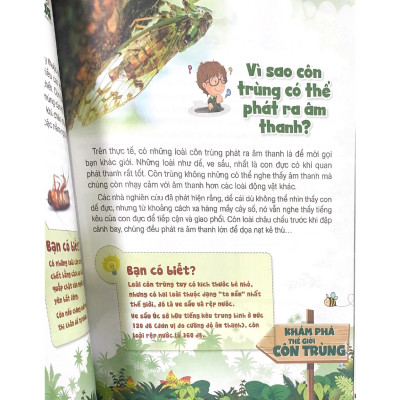 10 Vạn Câu Hỏi Vì Sao? Khám Phá Thế Giới Côn Trùng - Vanlangbooks