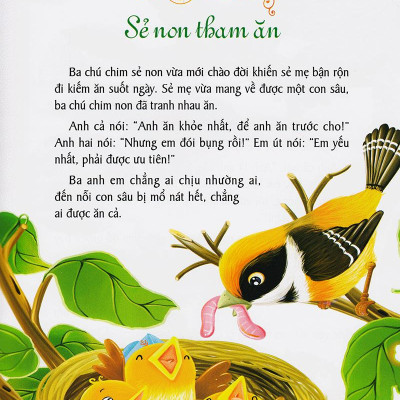 Vườn Ươm Tính Cách - Tình Cảm Và Trách Nhiệm