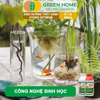 Dung Dịch Thủy Canh Hydro Optimum, GreenHome, Bộ 2 chai 500ml, Dinh Dưỡng Thủy Canh Rau Ăn Lá, Hữu Cơ
