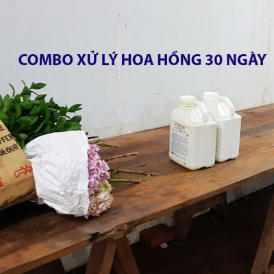 Combo 2 Chai Nước Cắm Hoa Lâu Tàn và Kiềm hoa không nở 15 ngày tại nhà vườn trồng hoa bằng dung dịch bảo quản hoa TOG Galileo của Israel