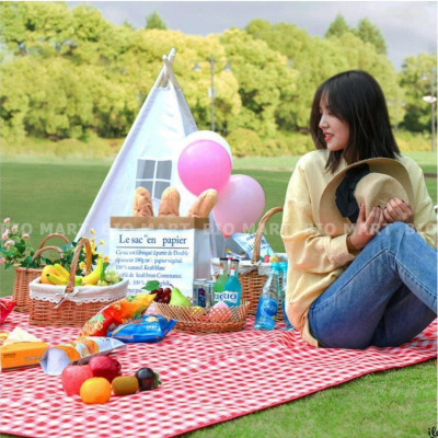 Thảm Dã Ngoại Picnic Hoạ Tiết Caro, Gấp Gọn Agnite - Thảm Cắm Trại, Đi Du Lịch, Đi Phượt, Chụp Ảnh