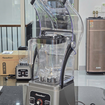 Máy xay sinh tố công nghiệp chống ồn 3L Raiden RD-630, công suất 2680W xay đá, gia vị, rau má, nước sốt, hạt khô-Hàng chính hãng