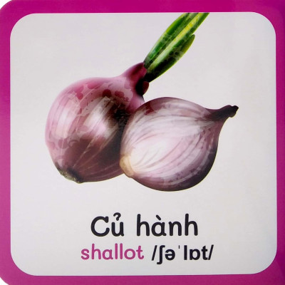 Từ Điển Bằng Hình Đầu Tiên Của Bé - Baby