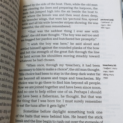(Sách song ngữ Việt – Anh) ÔNG GIÀ VÀ BIỂN CẢ – Ernest Hemingway – Nguyễn Thúy Loan dịch – Hà Giang – NXB Văn học