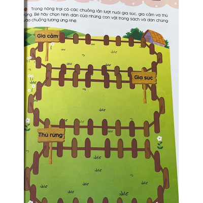 Các Trò Chơi Ghi Nhớ, Tưởng Tượng Và Cảm Nhận Không Gian (4 -5 Tuổi)