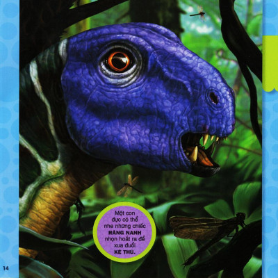 Sách - Cuốn Sách Lớn Đầu Tiên Của Tớ - Khủng Long (Tái Bản 2023)