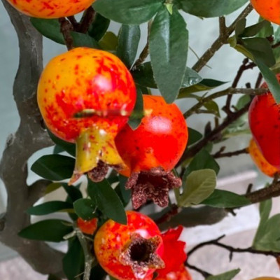 Cây lựu giả - cao 140cm - Cây giả, hoa lụa Decor trang trí nhà cửa