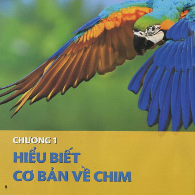 Cuốn Sách Lớn Đầu Tiên Của Tớ - Chim - Bìa Cứng (Tái Bản 2024)