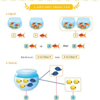 Bài Tập Tuần Toán 1 Tập 1 (Kết Nối Tri Thức Với Cuộc Sống)