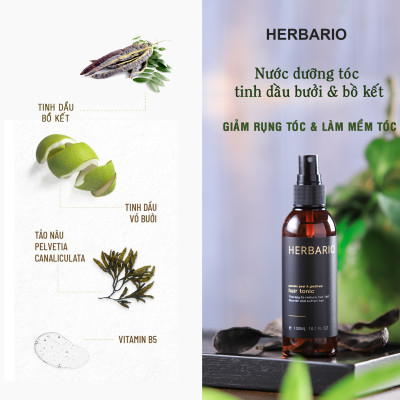 Combo Nước xịt dưỡng tóc vỏ bưởi & Bồ kết Herbario 100ml + Serum mọc tóc vỏ bưởi & Bồ kết Herbario 30ml