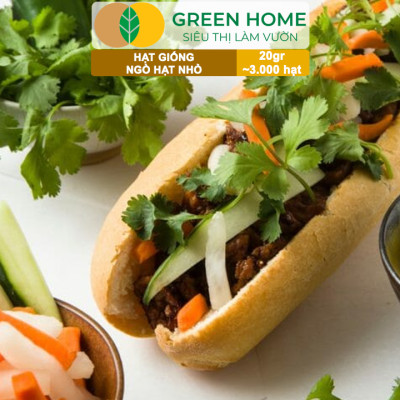 Hạt Giống Gia Vị Greenhome, Nhiều Loại, Trồng Chậu, Dễ Trồng, Chịu Nhiệt, Trồng Quanh Năm, Năng Suất