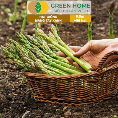 Hạt Giống Măng Tây Xanh Greenhome, Gói 0.5g~50 hạt, Dễ Trồng Quanh Năm, Nảy Mầm Cao, Thu Hoạch Nhanh, Năng Suất Cao T19