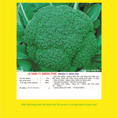 Hạt giống súp lơ xanh F1 - bông cải xanh Nhật Bản bông to đều VTP53