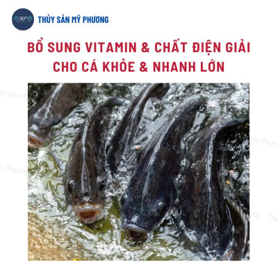 Vitamin khoáng trộn điện giải chống sốc Hado b.Complex tăng trọng giúp tăng cơ chống mòn vỏ cho tôm thẻ cá lươn ếch ốc b
