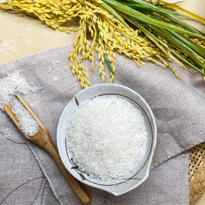 Gạo Hoa Lúa Xanh - Túi 5kg - Tơi xốp, mềm cơm, dẻo ít, thơm nhẹ