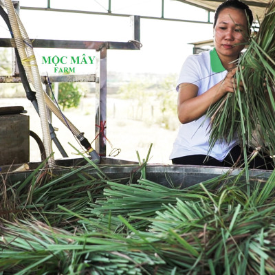 Tinh dầu Sả Chanh Organic Mộc Mây - tinh dầu nguyên chất từ thiên nhiên - chất lượng và mùi hương vượt trội