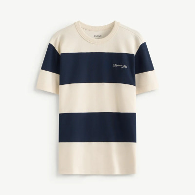 Áo thun tay ngắn nam sọc ngang Form Regular - RT 10S25TSS025 | ROUTINE CÀ MAU