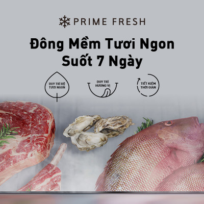 Tủ lạnh Panasonic Diệt Khuẩn 255L NR-BV281BGMV Thiết Kế Mặt Gương - Cấp Đông Mềm - Ngăn Đá Dưới - Siêu Tiết Kiệm Điện Năng - Hàng chính hãng