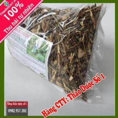 Đuôi chuột cây mạch lạc 01KG