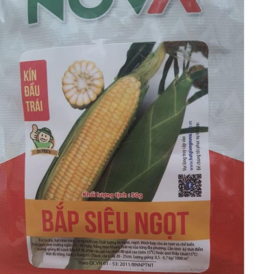 Hạt giống Bắp vàng Siêu ngọt (bắp ngọt vang mỹ ) Nova KNS36 - gói 50gram