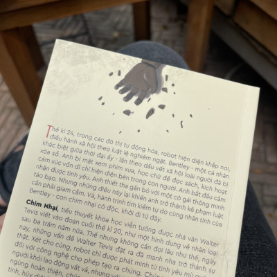 (Combo 2c cuốn Walter Tevis) HẠ PHÀM - CHIM NHẠI - Nxb Kim Đồng 