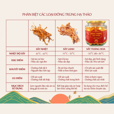Đông trùng hạ thảo thượng hạng sấy khô 20gr/hũ