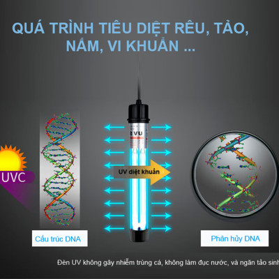 Đèn UV 30W Sterilization King Bóng Kép cao cấp, diệt tảo, diệt khuẩn cho bể cá, hồ cá, hồ thủy sinh siêu sạch ( Trắng) 