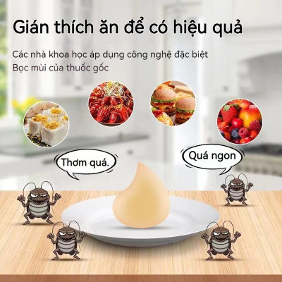 Combo 3 hộp thuốc diệt gián sinh học Housheng, diệt tận gốc tất cả các loại gián, hiệu quả, an toàn.
