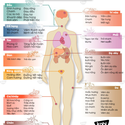 Tinh Dầu Bưởi Kobi (30ml) Treo Xe Hơi, Treo Phòng, Tủ Quần Áo - Tinh Dầu Thiên Nhiên Nguyên Chất, Giúp Giảm Stress, Xua Đuổi Côn Trùng Và Khử Mùi Hiệu Quả, Thích Hợp Dùng Với Đèn Xông Và Máy Khuếch Tán - Tặng Kèm Vỏ Lọ Treo Sang Trọng, Tiện Dụng