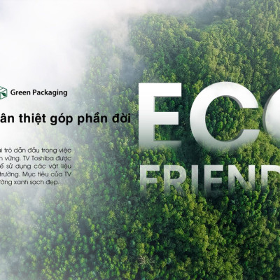 Smart Tivi Toshiba 55 inch 4K UHD 55E330NP, Giao Hàng Toàn Quốc - Hàng Chính Hãng