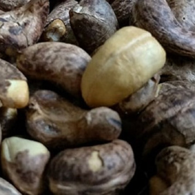 Hạt Điều Rang Muối Loại 1 A+ Cao Cấp | Vỏ Lụa Hộp 250g | Natufoodvn