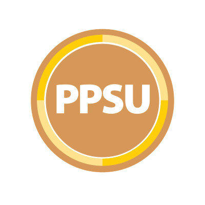 [ WB91620 ] Bình sữa tùy chọn cổ rộng nhựa PPSU, 270ml - Dr.Brown