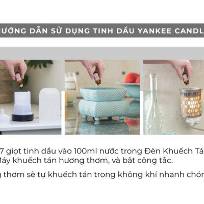 Tinh dầu Yankee Candle - Pink Sands (15ml)