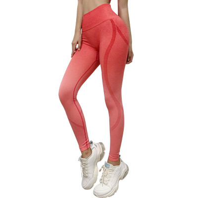 Bộ Quần Áo Thể Thao Nữ Gồm Quần Dài Và áo Ngắn Tay Croptop Vải Dệt Kim Quảng Châu ( Áo đã sẵn mút nâng ngực )