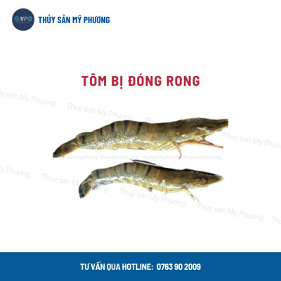 Hóa chất chuyên diệt các loại rong cắt tảo độc Drt Eff trong ao hồ bể nuôi ương tôm thẻ cá lươn ếch nòng nọc ốc ba ba