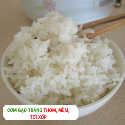 Gạo An Nông ST25 Xát Trắng 700g