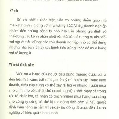 Marketing B2B Sáng Tạo