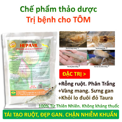 VƯỜN SINH THÁI - Thảo dược hepavil đặc trị phân trắng, rỗng ruột, vàng mang sưng gan trên Tôm Cá Ếch Lươn - Hiệu quả ngay sau 5-7 ngày - 100% Thiên Nhiên
