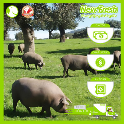 Thịt Heo Đùi Sau Serrano Tây Ban Nha Cắt Lát - Túi 50Gr