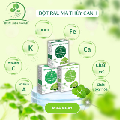 Nông Xanh Garden Combo 3 Hộp Bột Rau Má Thủy Canh Nguyên Chất + Có Đường + Đậu Xanh Cốt Dừa Hộp 15 gói hòa tan uống liền, dễ uống, thanh nhiệt, thải độc, làm đẹp da