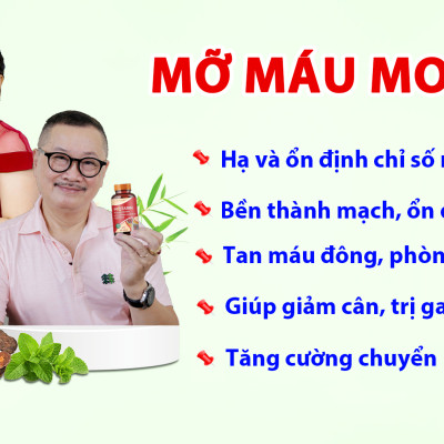 Combo 4 Tặng 2 Hộp Mỡ Máu Motarin Giúp Ổn Định Chỉ Số Mỡ Máu Hiệu Quả