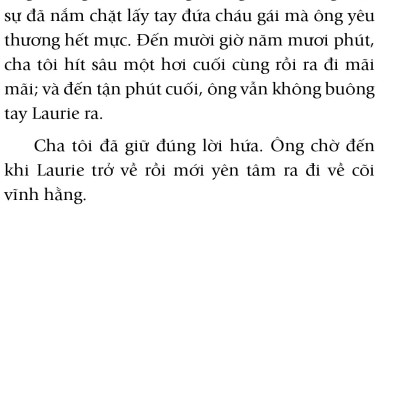 Hạt Giống Tâm Hồn - Tập 11 - Những Trải Nghiệm Cuộc Sống (Tái Bản)