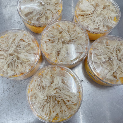 Chân yến sạch loại 1 hộp 100gr- Ăn chân yến tăng cường miễn dịch - Cải thiện đường hô hấp - Tặng táo đường - Yến sào Đỗ Thị Toán