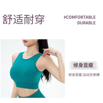 Đồ Tập Yoga Gym Nữ Dệt Kim Có Đệm Chống Sốc Ngực