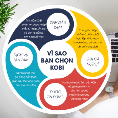 Combo 3 Tinh Dầu Kobi Nhập Khẩu Ấn Độ: Tinh Dầu Bạc Hà (30ml) + Tinh Dầu Oải Hương (30ml) + Tinh Dầu Vỏ Bưởi (30ml)  - Tinh Dầu Thiên Nhiên Nguyên Chất, Giúp Giảm Stress, Xua Đuổi Côn Trùng Và Khử Mùi Hiệu Quả, Thích Hợp Dùng Với Đèn Xông Và Máy Khuếch Tá