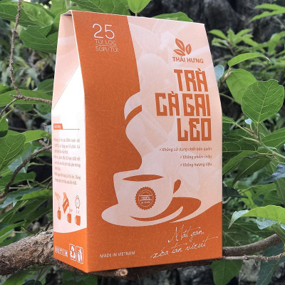 Combo 07 Hộp Trà Cà gai leo Thái Hưng 25 túi lọc x 05g (125g) - Mát gan, giải độc, giải rượu, giảm mụn nhọt