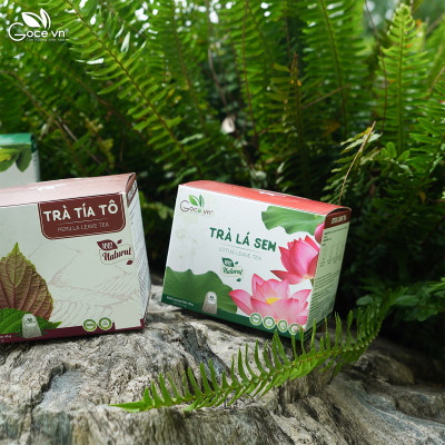 Combo Family Goce (1 hộp Trà lá ổi 40g, 1 hộp Trà tía tô 40g, 1 hộp Trà lá sen 40g)