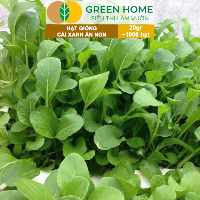 Hạt Giống Rau Greenhome, Ăn Lá, Nhiều Loại, Trồng Chậu, Dễ Trồng, Trồng Quanh Năm, Năng Suất Cao