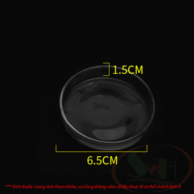 Chén thủy tinh cho tép ăn hạn chế thức ăn dư thừa bể cá tép thủy sinh